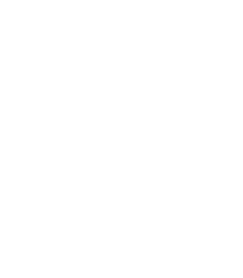 NetApp logo